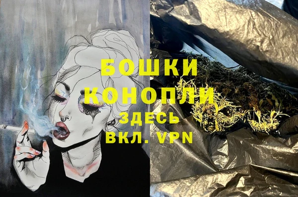 гидра Дмитриев