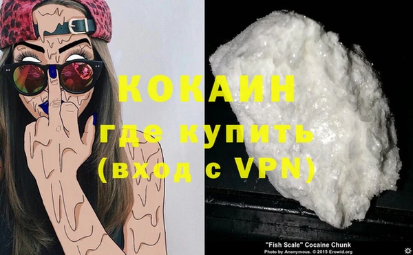 кокс Дмитров
