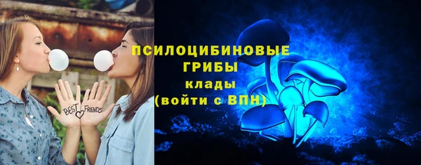 гидра Дмитриев